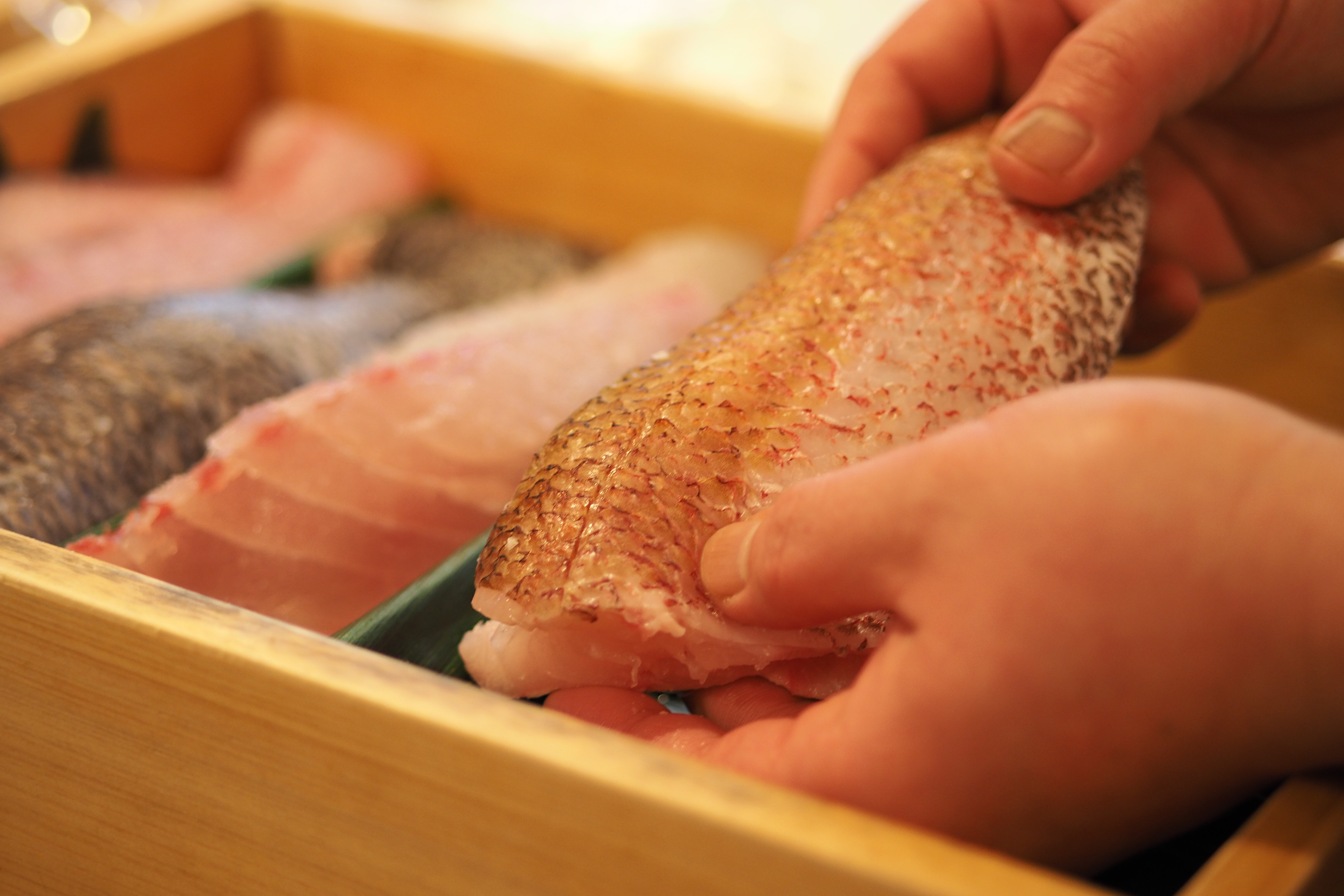 新潟で獲れる地の魚を基盤に集める寿司種